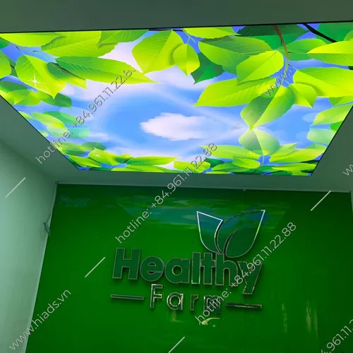 Thiết Kế Và Thi Công Trần Xuyên Sáng – Đẳng Cấp Cùng Hi Decor