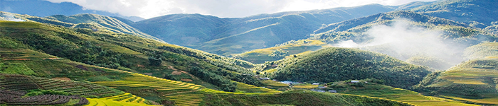 Cát Cát Hàm Rồng