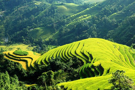 Du lịch Sapa giá rẻ không quá khó Du lịch Sapa giá rẻ không quá khó
