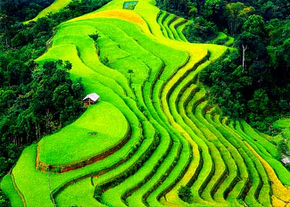 Sapatourbooker.com nơi cung cấp tour du lịch Sapa bằng tàu hỏa thú vị với mức giá tốt nhất Sapatourbooker.com nơi cung cấp tour du lịch Sapa bằng tàu hỏa thú vị với mức giá tốt nhất