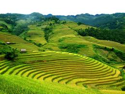 du lịch sapa - bản sín chải