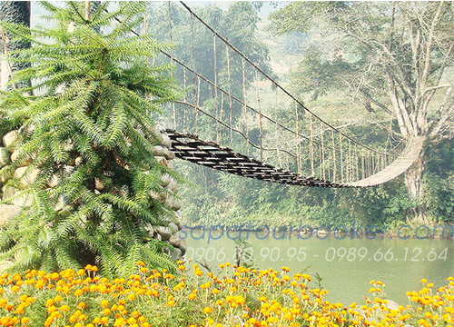 tour-du-lich-sapa-ghep-doan