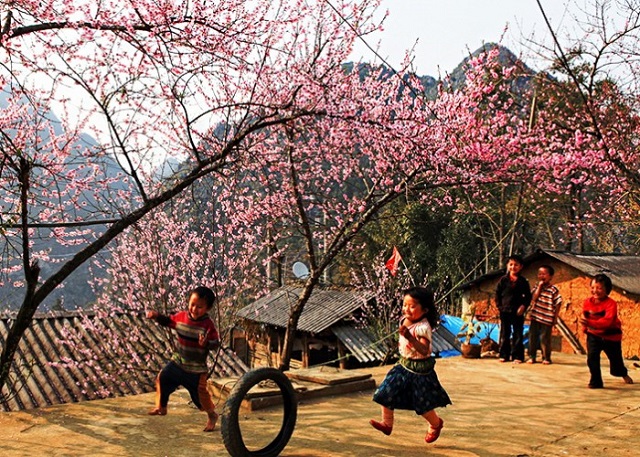 du lịch sapa, bản cát cát du lịch sapa, bản cát cát