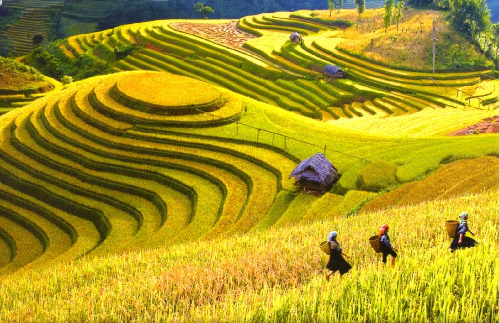tour-du-lich-sapa-ghep-doan