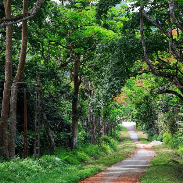 BÁI ĐÍNH - TRÀNG AN - HANG MÚA - VÂN LONG - CÚC PHƯƠNG 3 NGÀY 2 ĐÊM