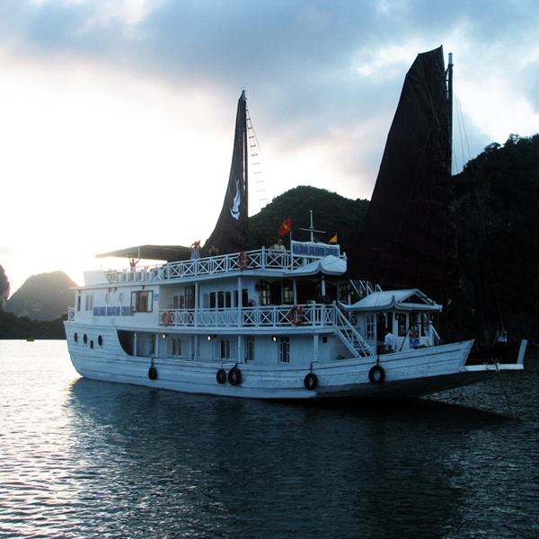 Dragon Gold Cruise 2days 1 nigh