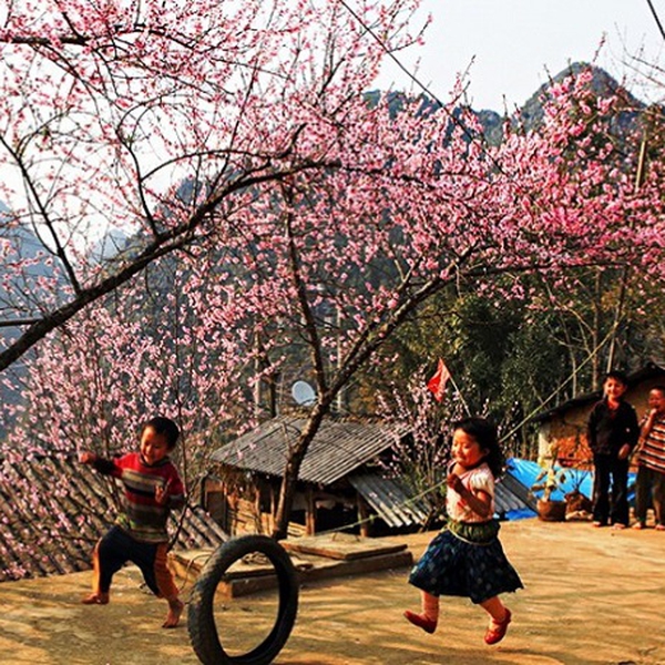 DU LỊCH GHÉP HẠ LONG - SAPA 3 NGÀY 3 ĐÊM BẰNG Ô TÔ