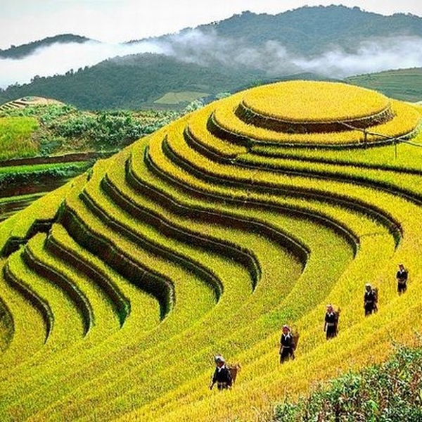DU LỊCH SAPA 3 NGÀY 2 ĐÊM BẰNG XE BUS GIƯỜNG NẰM BAN NGÀY