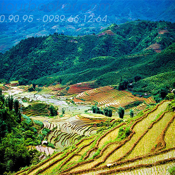 DU LỊCH SAPA - CHỢ BẮC HÀ 3 NGÀY 3 ĐÊM BẰNG Ô TÔ