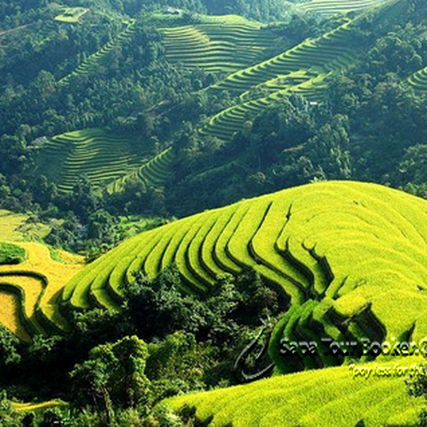 HÀ NỘI - SAPA - HÀ KHẨU - HÀ NỘI