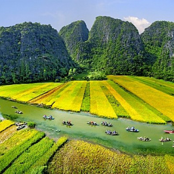 Hoa lư -Tam cốc Bích động 1 ngày