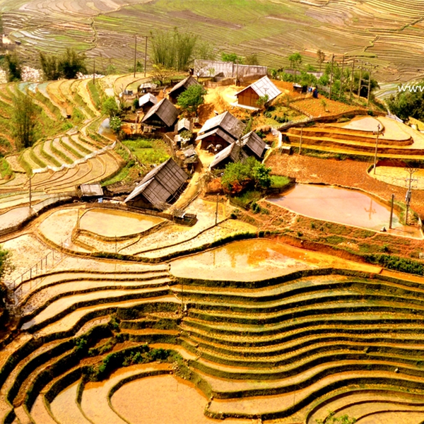 3 days 2 nights Sapa Lao Chai - Ta Van - Cat Cat- Ham Rong (Bus)