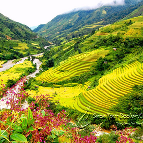SAPA - CÁT CÁT - THÁC BẠC - HÀM RỒNG ( 3 NGÀY 4 ĐÊM)