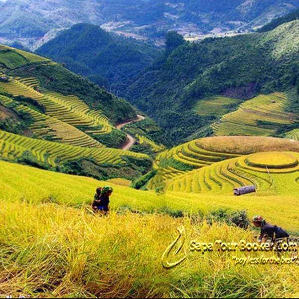 TẢ VAN - THÁC BẠC- HÀM RỒNG ( 3 NGÀY 2 ĐÊM)