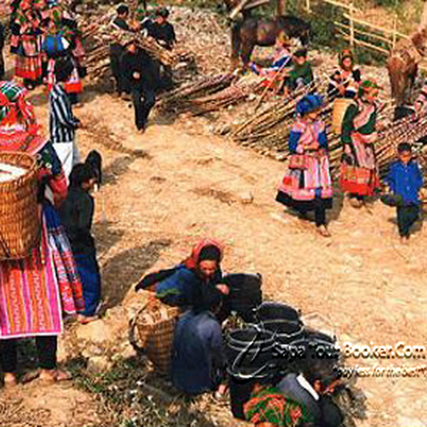 Tour chợ Cắn Cấu và chợ Bắc Hà