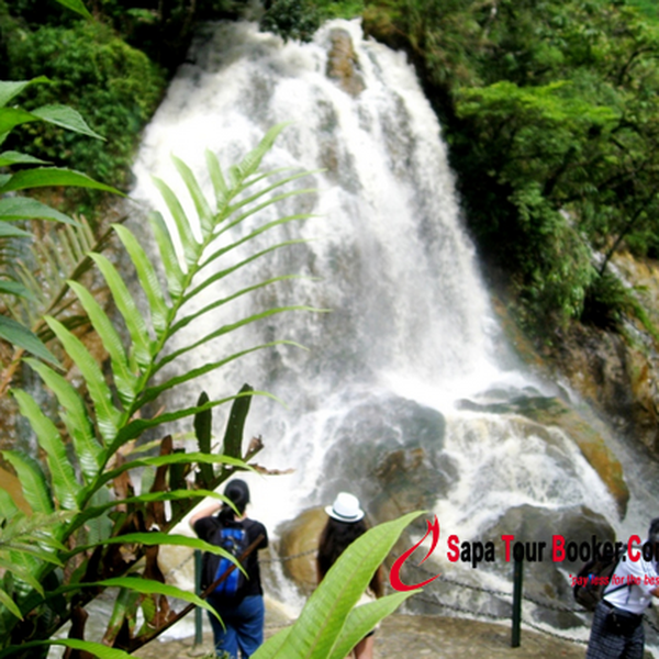 SAPA EASY TREK AND HOMESTAY