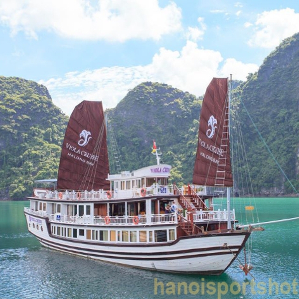 Viola Cruise 2 ngày 1 đêm