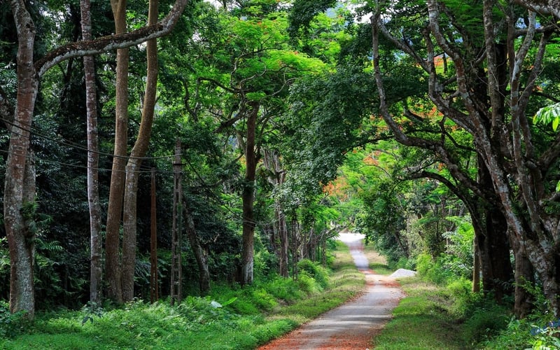 BÁI ĐÍNH - TRÀNG AN - HANG MÚA - VÂN LONG - CÚC PHƯƠNG 3 NGÀY 2 ĐÊM