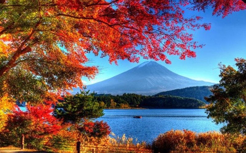 ĐÓN NOEL TẠI XỨ XỞ PHÙ TANG