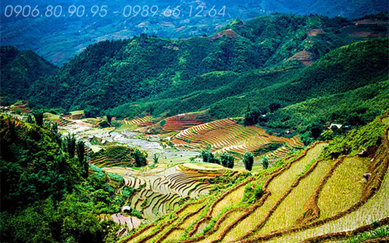DU LỊCH SAPA - CHỢ BẮC HÀ 3 NGÀY 3 ĐÊM BẰNG Ô TÔ