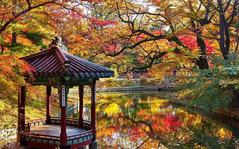 HÀN QUỐC - mùa thu vàng