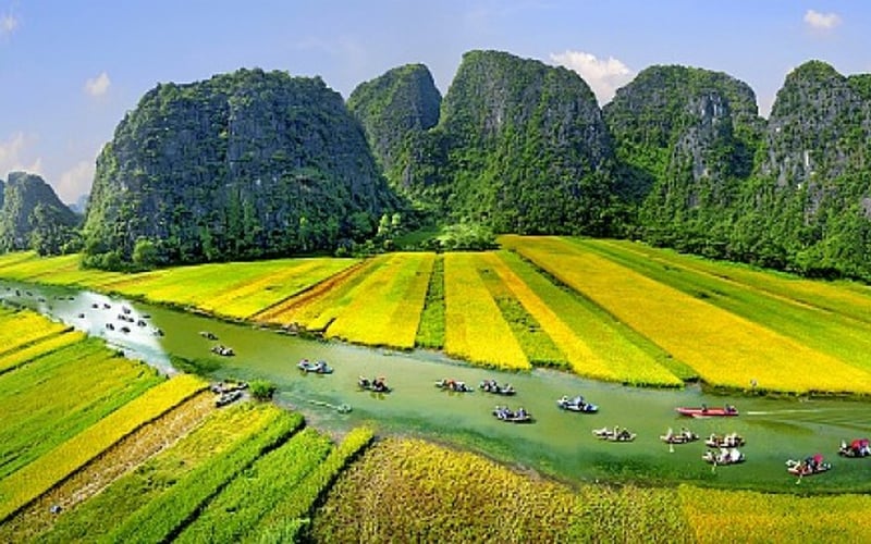 Hoa lư -Tam cốc Bích động 1 ngày