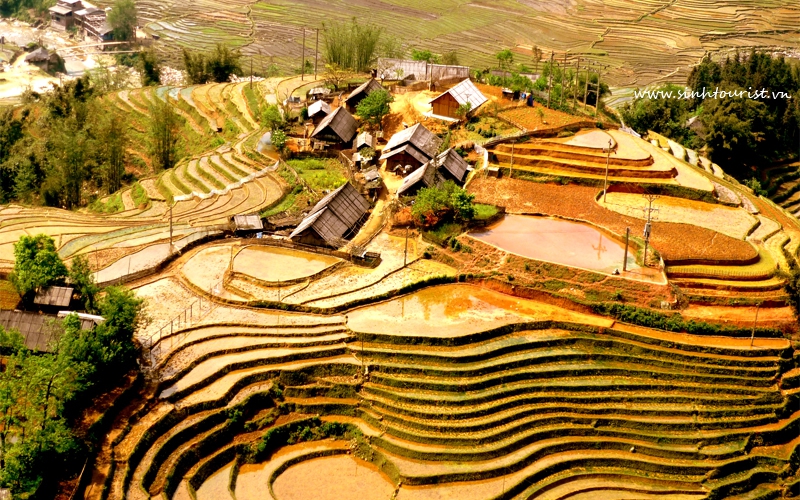 3 days 2 nights Sapa Lao Chai - Ta Van - Cat Cat- Ham Rong (Bus)