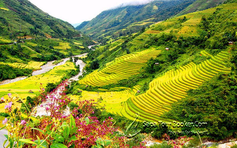 SAPA - CÁT CÁT - THÁC BẠC - HÀM RỒNG ( 3 NGÀY 4 ĐÊM)