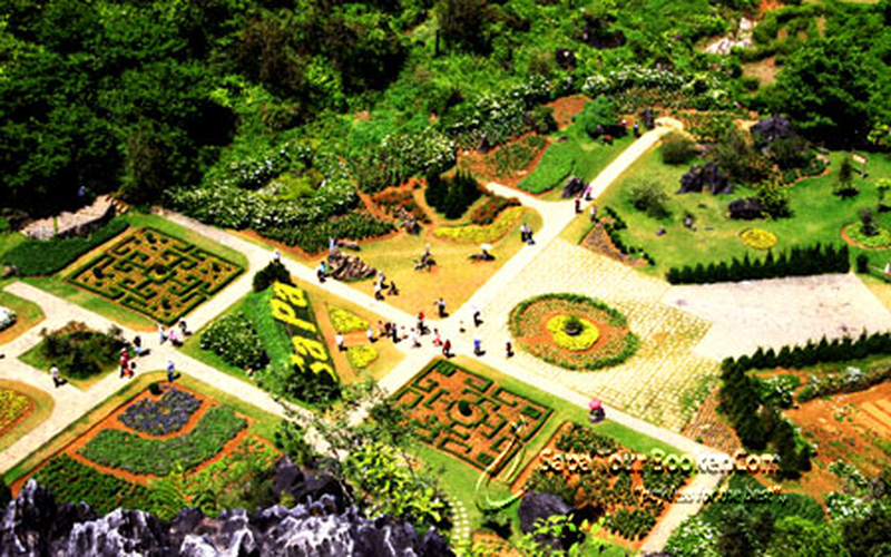 SAPA - THÁC BẠC - HÀM RỒNG (2 NGÀY 1 ĐÊM)