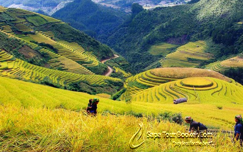 TẢ VAN - THÁC BẠC- HÀM RỒNG ( 3 NGÀY 2 ĐÊM)