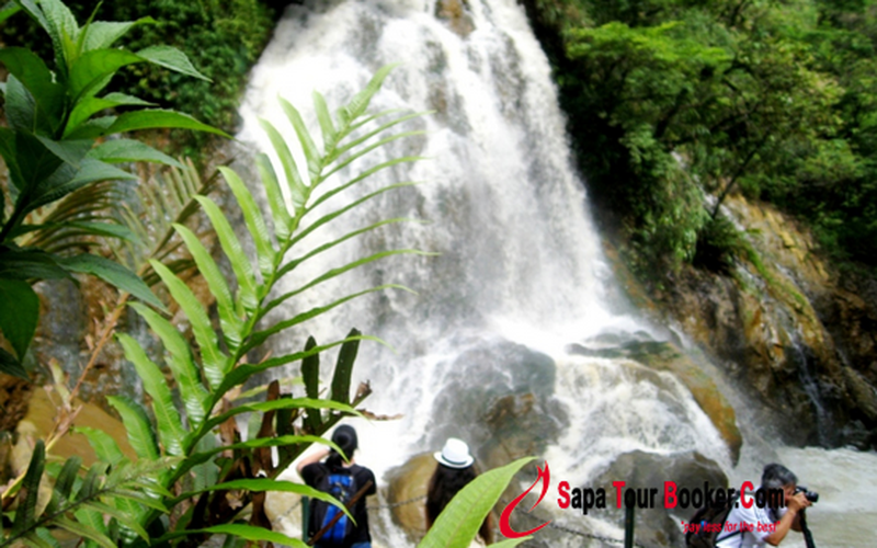 SAPA EASY TREK AND HOMESTAY