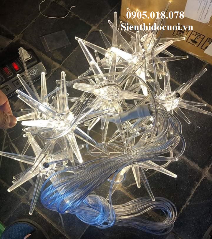 Thả Led Sao Biển Thả Led Sao Biển
