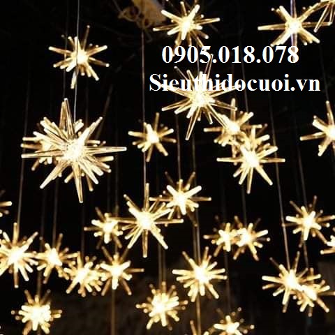 Thả Led Sao Biển Thả Led Sao Biển