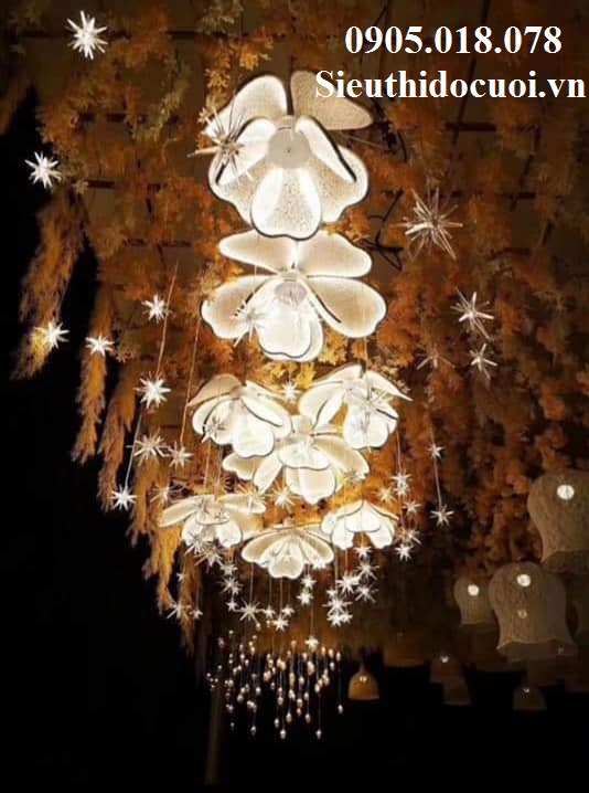 Thả Led Sao Biển Thả Led Sao Biển