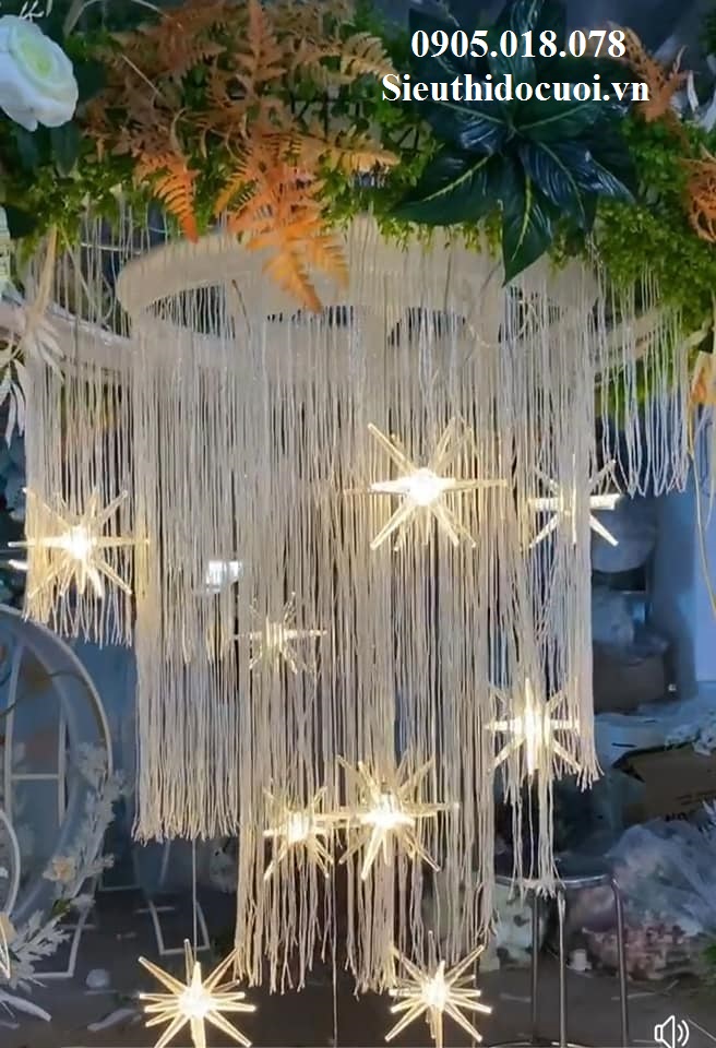 Thả Led Sao Biển Thả Led Sao Biển