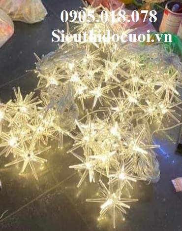 Thả Led Sao Biển Thả Led Sao Biển