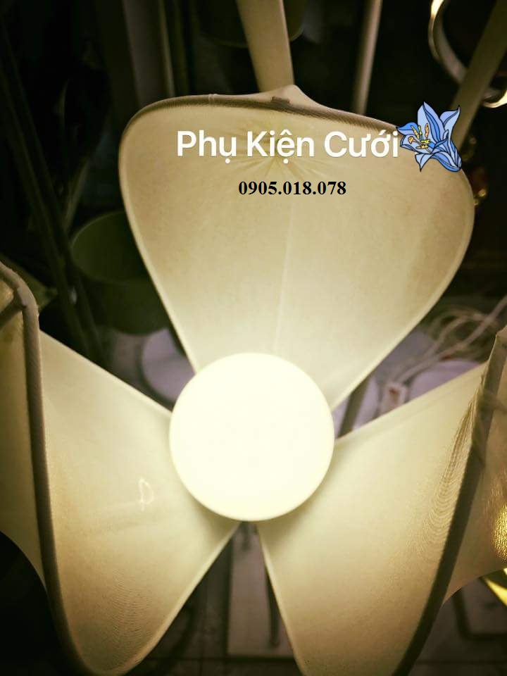 Sóng đèn hoa mộc lan Sóng đèn hoa mộc lan