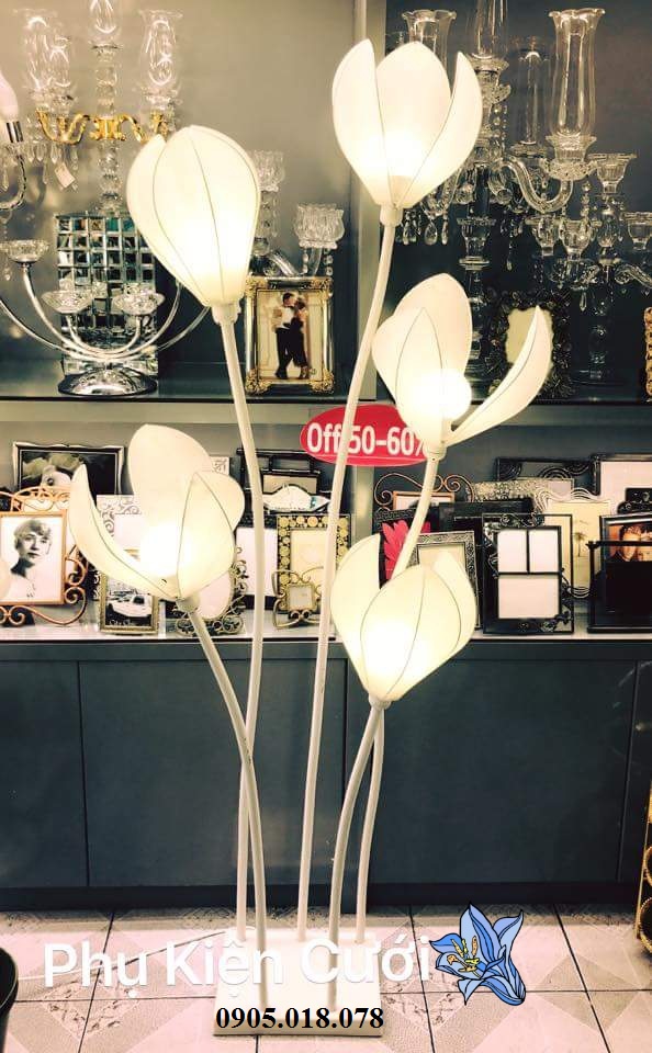 Sóng đèn hoa mộc lan Sóng đèn hoa mộc lan