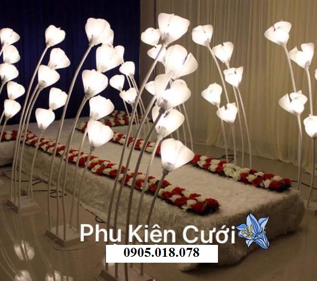 Sóng đèn hoa mộc lan Sóng đèn hoa mộc lan