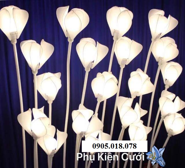 Sóng đèn hoa mộc lan Sóng đèn hoa mộc lan