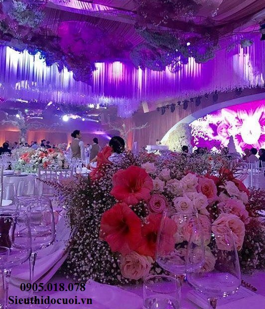 Rèm chỉ, rèm sợi chỉ, màn sợi chỉ Rèm chỉ, rèm sợi chỉ, màn sợi chỉ