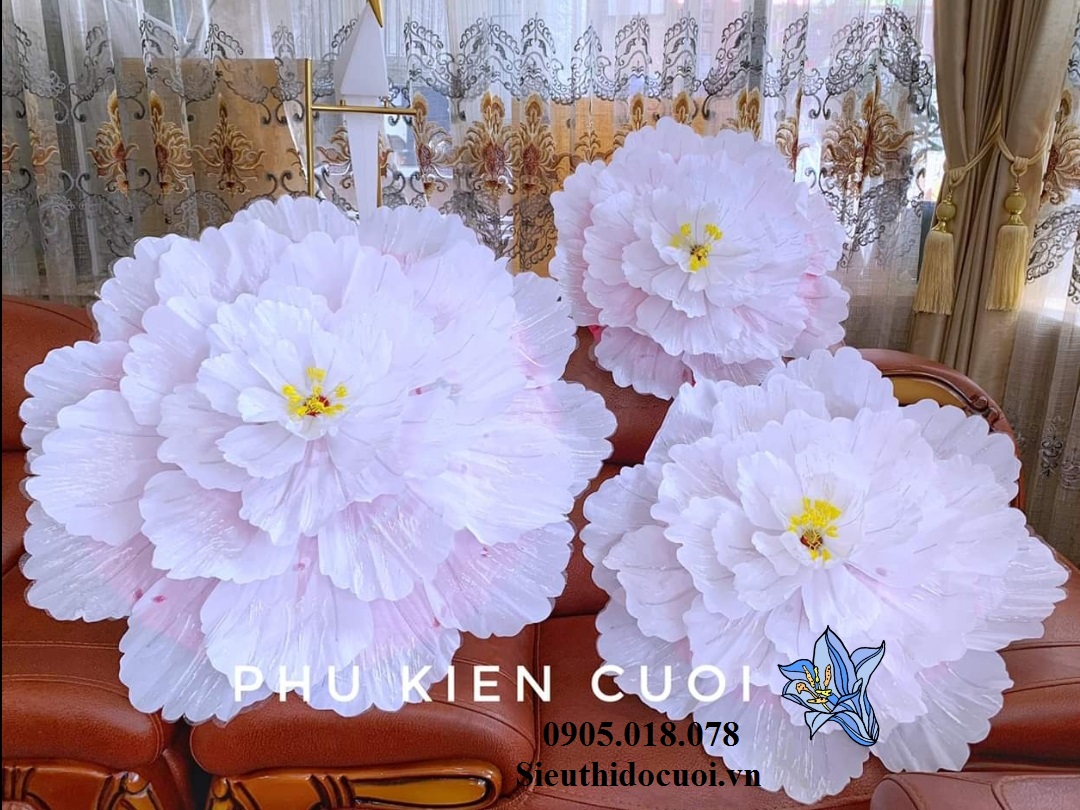 Dù cưới, lộng cưới Dù cưới, lộng cưới