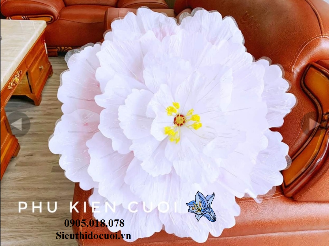 Dù cưới, lộng cưới Dù cưới, lộng cưới