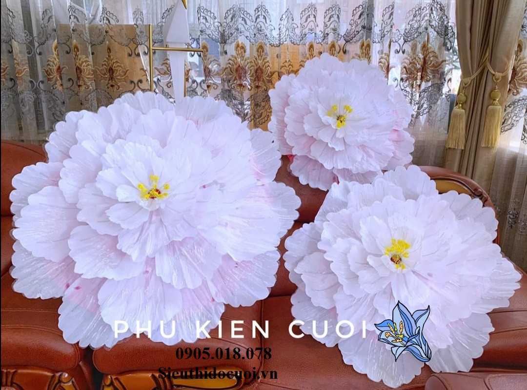 Dù cưới, lộng cưới Dù cưới, lộng cưới