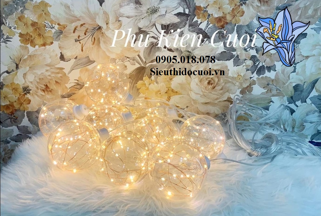 Dây Led Sao, Led Sọ Dừa, Led Tóc Rối Dây Led Sao, Led Sọ Dừa, Led Tóc Rối