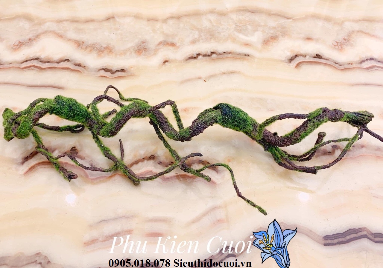 Bộ quả cầu, hươu nai nhung rêu Bộ quả cầu, hươu nai nhung rêu