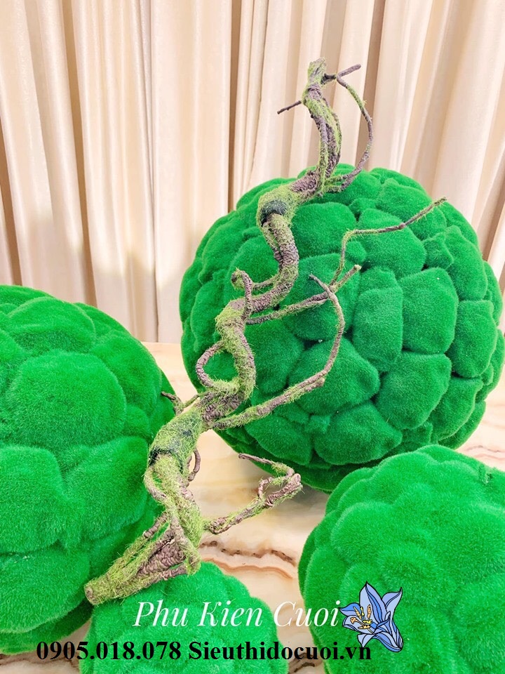 Bộ quả cầu, hươu nai nhung rêu Bộ quả cầu, hươu nai nhung rêu