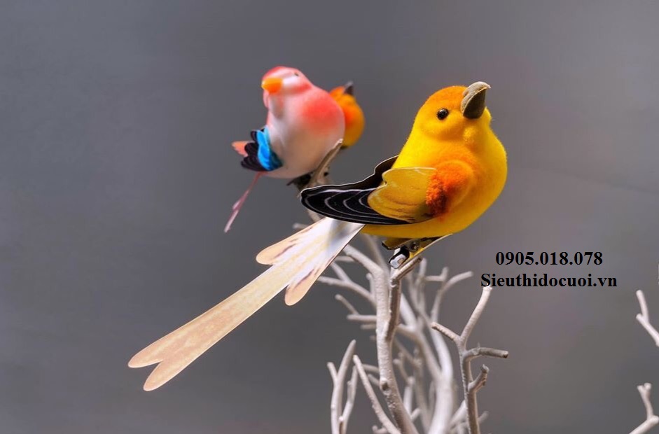 Chim mô hình trang trí Chim mô hình trang trí