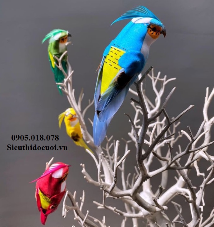 Chim mô hình trang trí Chim mô hình trang trí