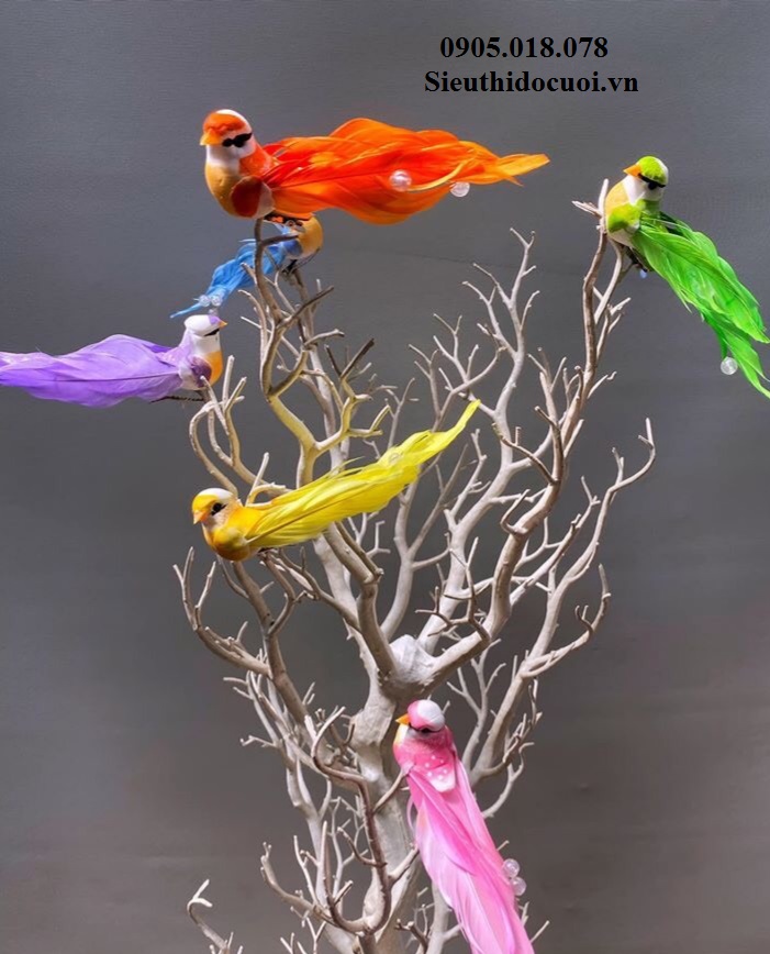 Chim mô hình trang trí Chim mô hình trang trí